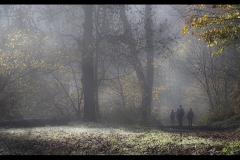 7th Place - Misty Autumn Morning in Lathkill Dale by Alison Lomax