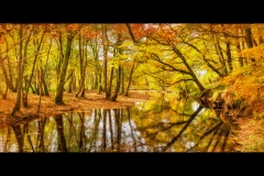 Autumn Scene after Vincent Van Gogh By Kevin Blake