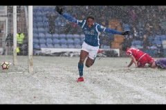 A Snowy Celebration By David Tolliday