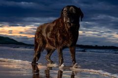 Last paddle of the day by Jeff Dakin