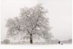 Snowtime in the Park by Kevin Blake