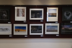 Annual Exhibition at the library- 2024 - 2025-1