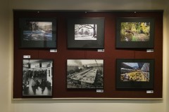 Annual-Exhibition-2024-2025-8