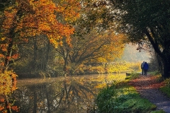 Canalside Walk Cropped by Vince Sparks