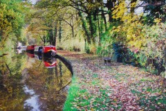 Fools Nook, Macclesfield Canal by Martin Welch