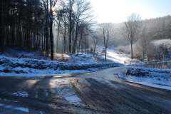 Winter in Macclesfield Forest by Martin Welch