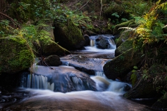 Wyming Brook By Ian J Simpson