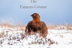 02_The Famous Grouse