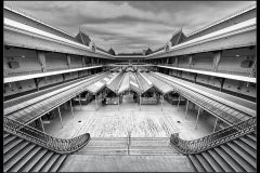 Lesson in Symmetry by Vince Sparks