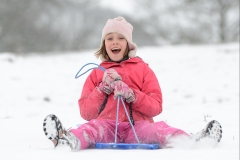 Happiness is sledging