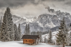 Cabin With A View