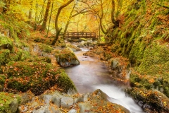 Stock Ghyll Woods Watercolour