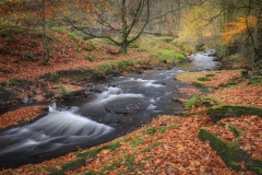 Autumn at Clough Brook by Alex White