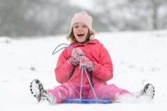 Sledging