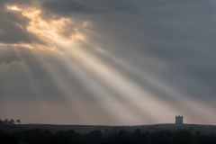 Light on the Cage by Kevin Blake