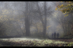 Misty Autumn Morning in Lathkill Dale by Alison Lomax