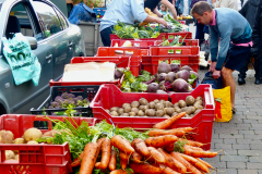 Treacle Market - Carrots By Sarah Cattermole