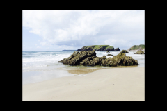 Beach(ed) rocks - Sarah Cattermole  - 18 points