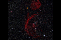 Orion and Rosette Nebulae - Ian Morison  - 18 points