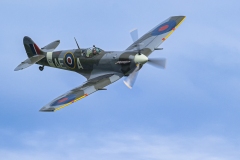 Supermarine Spitfire LF Mk Vb by Steve Gresty