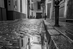 After-the-Rain by Darren Moncur - C