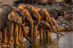 At the Bar by Kevin Blake  - VHC