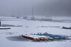 Frozen in Time by Vince Sparks  - VHC