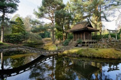 The Japanese Garden by Vince Sparks  - C