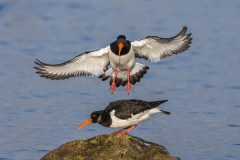 Macclesfield Camera Club