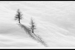 Macclesfield Camera Club