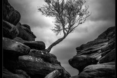 Brimham Rocks by Kevin Blake