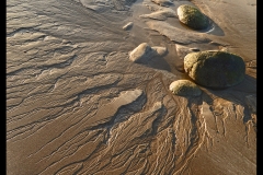 Patterns in the Sand