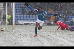 A Snowy Celebration by David Tolliday