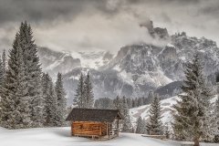 Cabin with a View