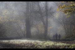 Misty Autumn Morning in Lathkill Dale