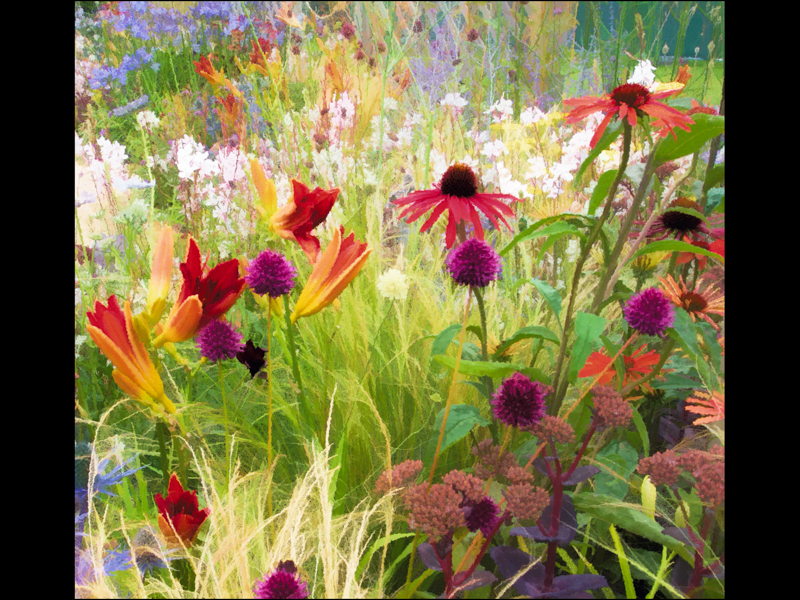 Flowery Fields by Shirley Searle