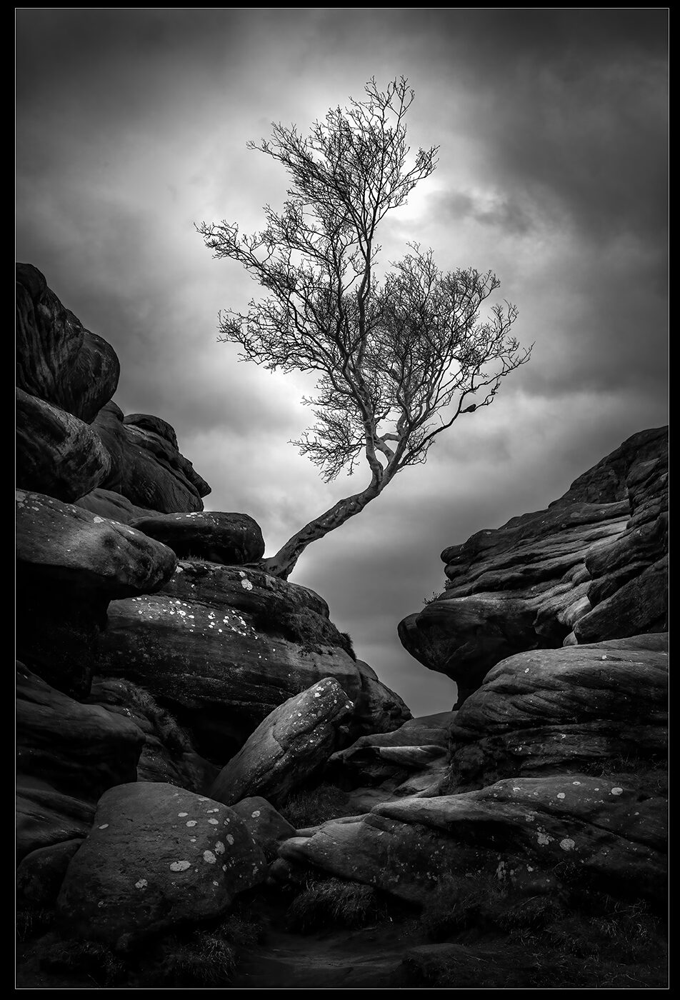 Brimham Rocks by Kevin Blake