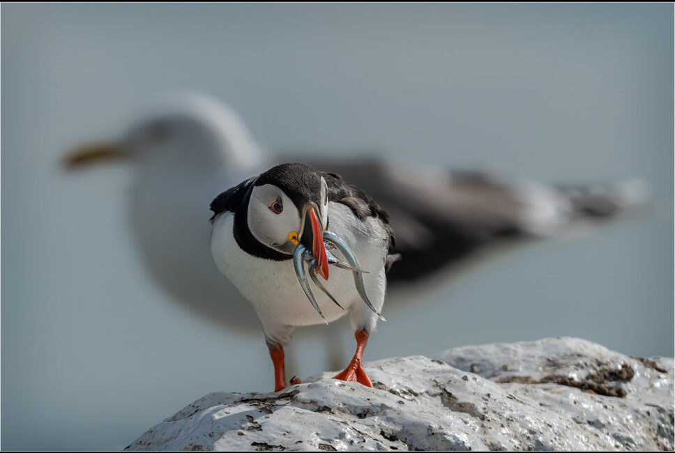 He's behind you by Jeff Dakin