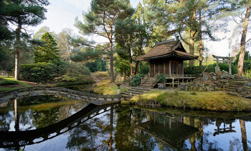 The Japanese Garden by Vince Sparks