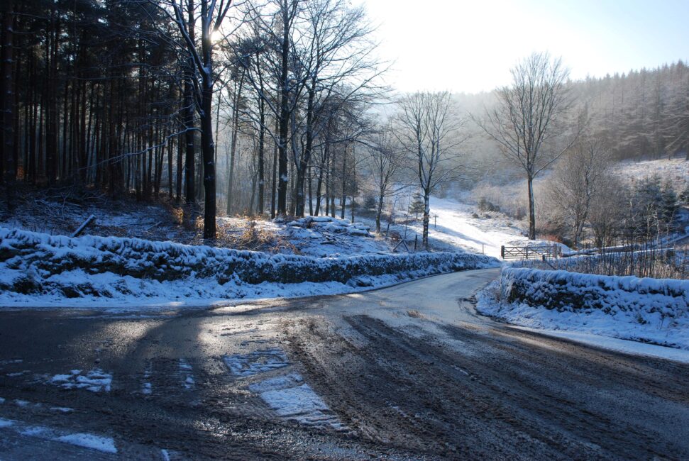 Winter in Macclesfield Forest by Martin Welch