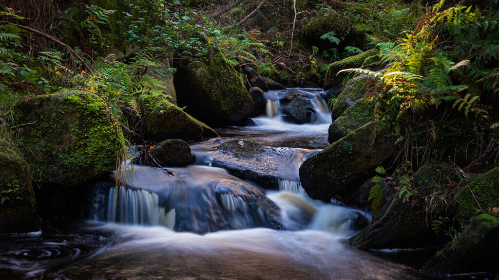 Wyming Brook By Ian J Simpson